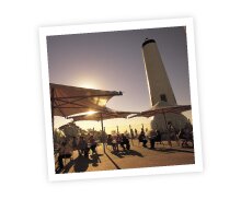Mt Lofty Summit Al fresco
